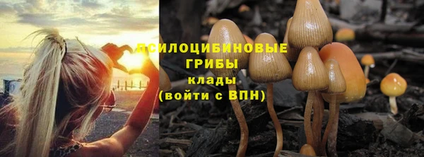 прущие крисы Алзамай