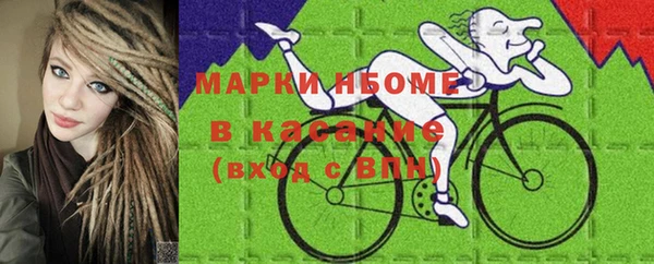 СК Каменка