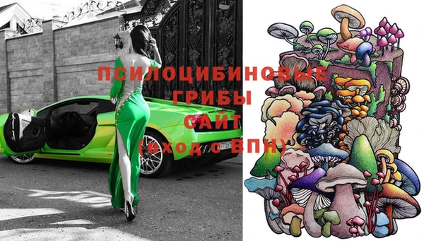прущие крисы Алзамай