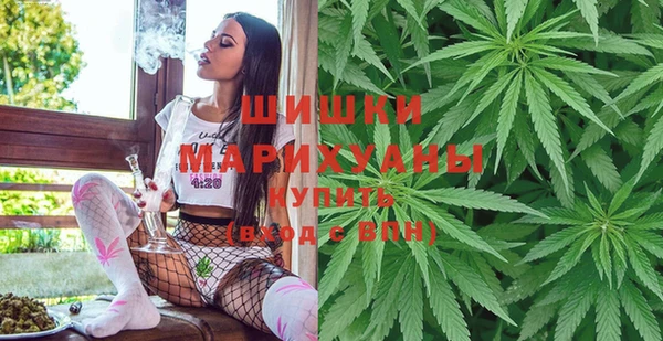 индика Заволжск