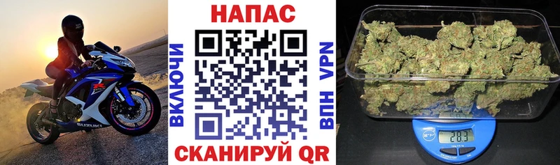 где продают   Родники  Канабис Amnesia 